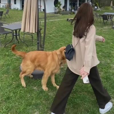 独孤天下之异瞳